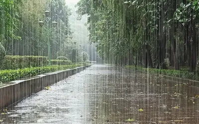 Monsoon winds will enter Sindh on Wednesday: Met Office