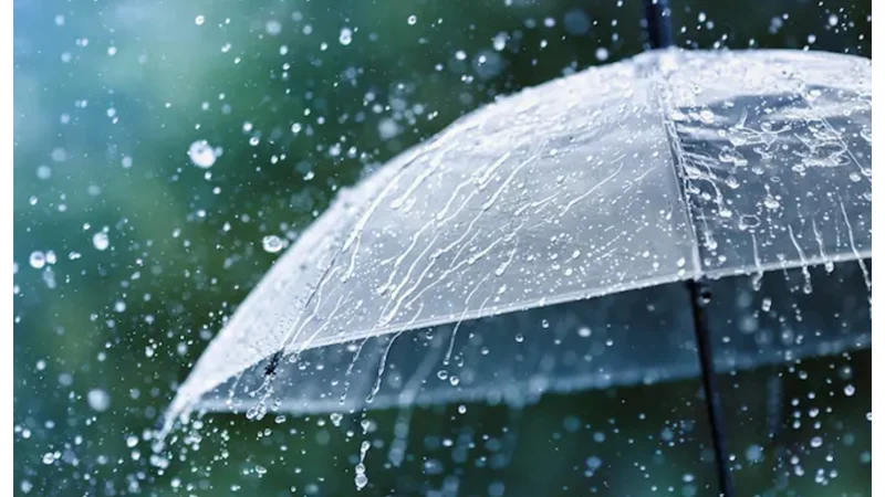 Karachi Weather Forecast: Widespread Rain Expected Today!