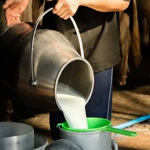 Milk prices increase in Pakistan