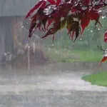 More rains likely in Peshawar, Khyber Pakhtunkhwa