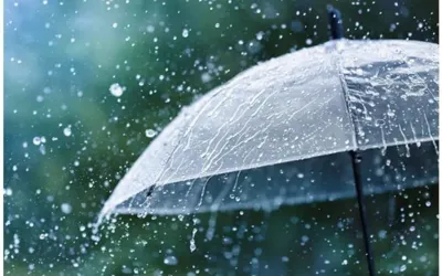 Lahore, Punjab Weather Update: Isolated Rains Expected!