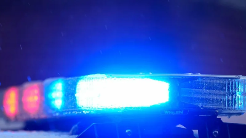 Tragic New Year's Eve: 5 UAE family members killed in car crash
