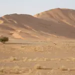 Lost in Rub' al Khali: UAE man found alive after 3 days in Saudi desert
