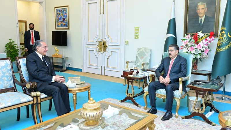 Pakistan’s permanent representative to UN calls on PM