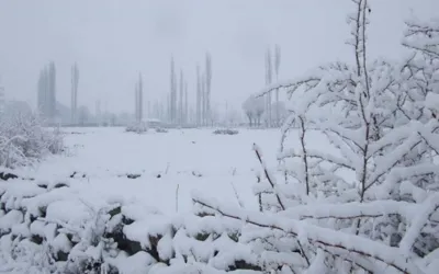 Skardu, Gilgit-Baltistan latest weather update today