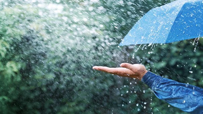 Light rain likely in Punjab, Potohar region, Kashmir: PMD