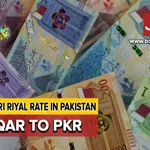 QAR TO PKR: Qatari Riyal to PKR exchange rates on 09 Jan 2024