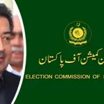 ECP challenges PHC judgement on PTI's intra-party polls in SC