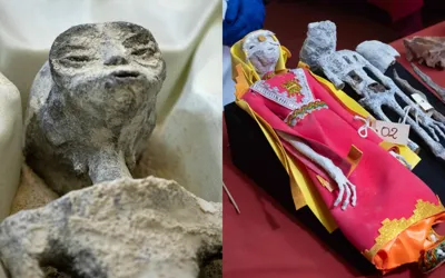 NASA Solves Mystery of Bizarre 'Alien Mummies'