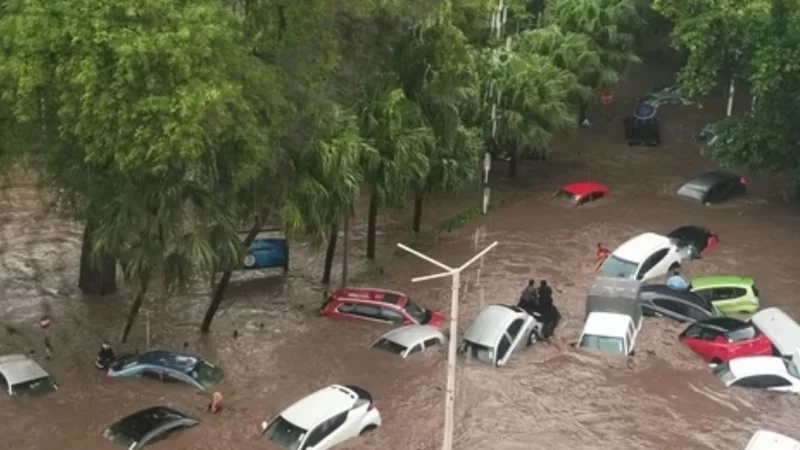Cyclone Belal causes major damage in Mauritius