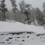 Today latest weather update Peshawar, Khyber-Pakhtunkhwa