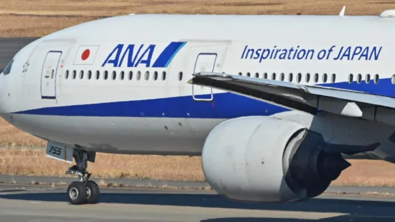 Japan flight Forced to return as 'Drunk' passenger bites crew member