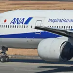 Japan flight Forced to return as 'Drunk' passenger bites crew member