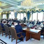 Federal cabinet rejects plan to collect Rs 600b from power division