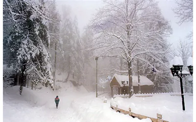 Snowfall and Rain predicted in Murree and Islamabad