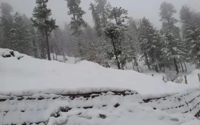 Peshawar, Khyber Pakhtunkhwa latest weather update today