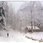 Murree: Tourists flock to 'Malka-a-Kohsar' as snowfall expected