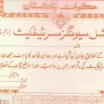 Qaumi Bachat Bank Special Savings Certificates Profit Rates - Feb 2024 Update