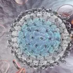 New dried blood test speeds Hepatitis C and Zika diagnosis
