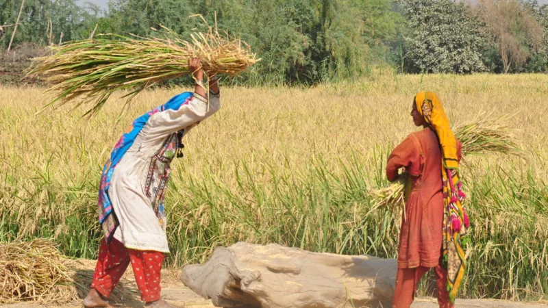 women farmers