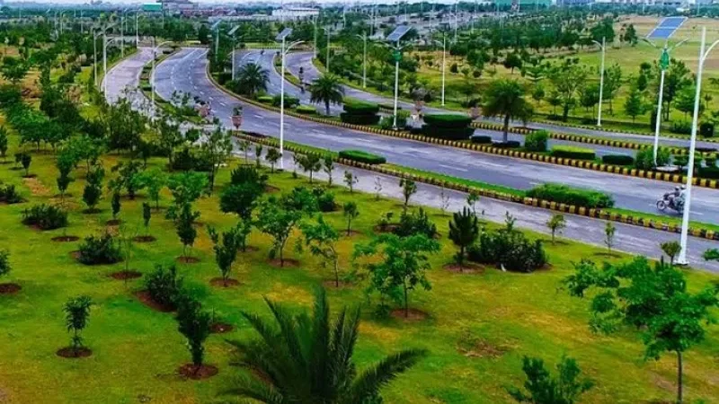 CDA plantation drive continues to make Islamabad more greener, beautiful and environment friendly capital - CDA, CDA plantation drive