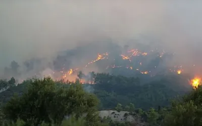 Raging Antalya wildfire ravages homes, triggers evacuations in Türkiye