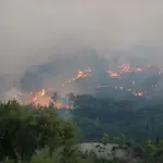 Raging Antalya wildfire ravages homes, triggers evacuations in Türkiye