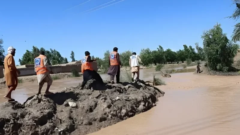 Pakistan Army races into rescue operation after major canal breach in Dera Ismail Khan