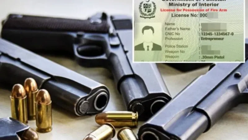 Sindh government bans issuance of new arms' licenses - arms licenses