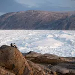 Greenland, Antarctica ice loss accelerating, study finds