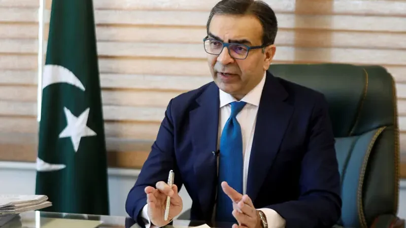 Adviser to PM calls for shift from stability to long-term growth