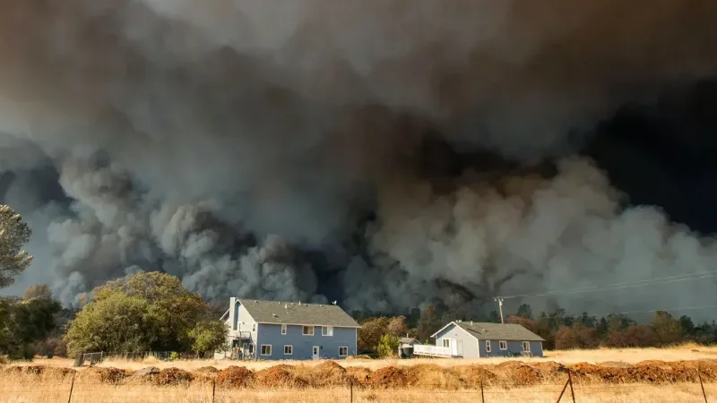 Wildfire smoke carries greater health risks, major studies find - Icahn School of Medicine, Min Zheng, The Lancet Oncology, United States, Wildfire smoke