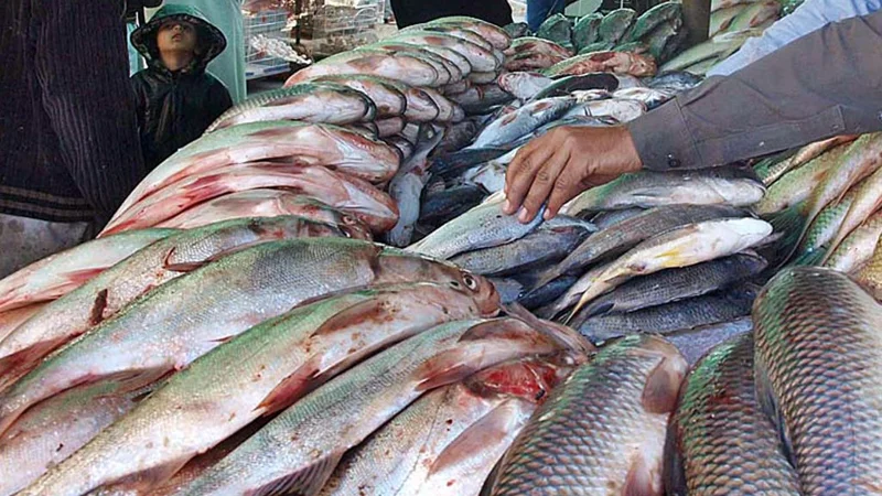 Pakistan plans 100-acre marine-culture estate at Korangi Fisheries Harbour