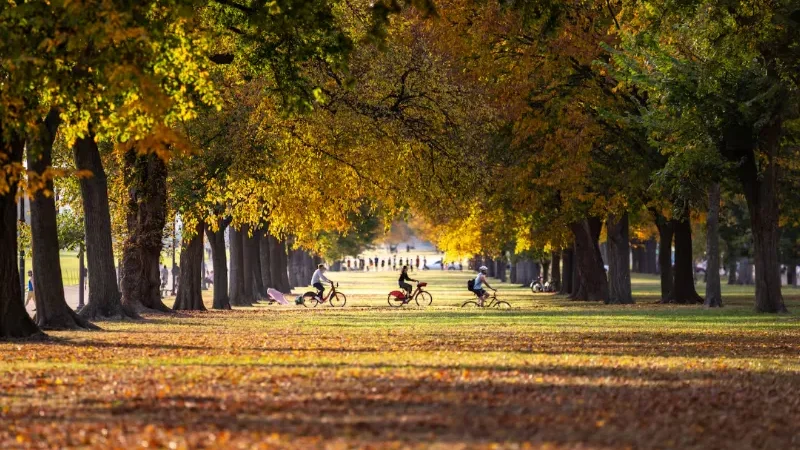 Fall officially begins tonight with arrival of autumnal equinox
