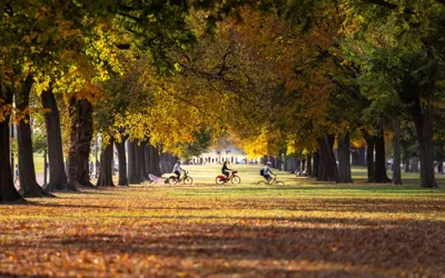 Fall officially begins tonight with arrival of autumnal equinox