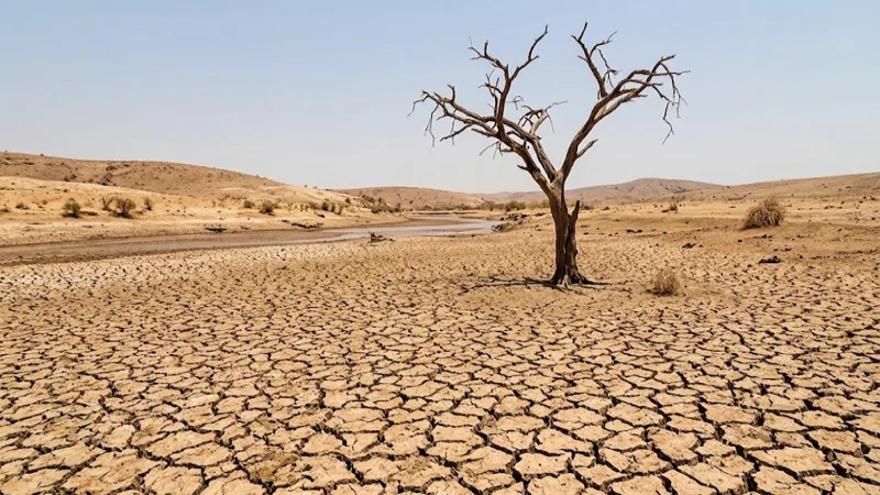 drought