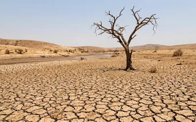Maharashtra declares drought across 74% of state amid weak monsoon