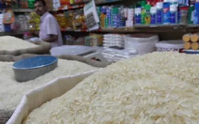 Pakistan, Malaysia agree on increased rice exports, halal trade