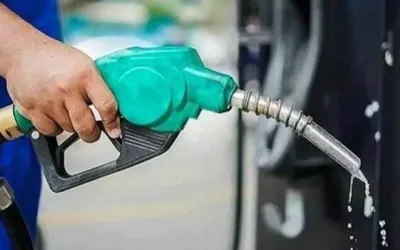 Federal govt cuts petrol and diesel prices