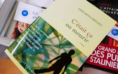 Bestselling novel removed from French literary prize due to AI allegations