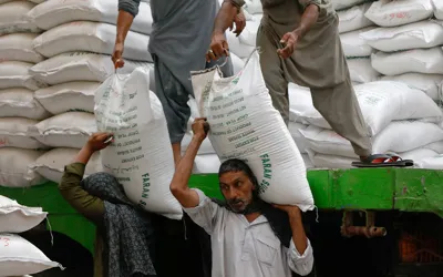 Pakistan’s urea offtake rises 42% in September