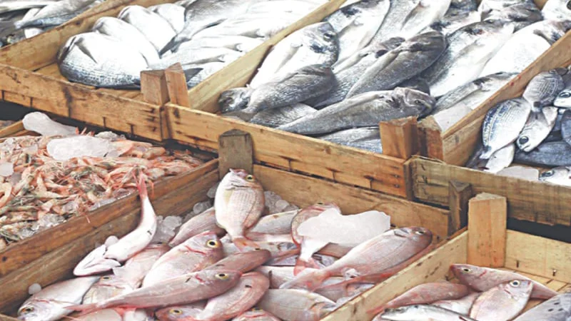 Pakistan's seafood exports jump 34% in first quarter