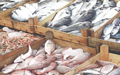 Pakistan's seafood exports jump 34% in first quarter