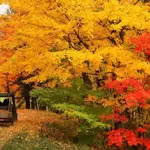 Cooler weather expected in parts of western US, NOAA says