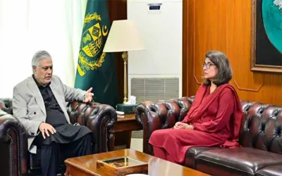 Ishaq Dar meets Amna as Pakistan, Turkiye aim to strengthen strategic ties