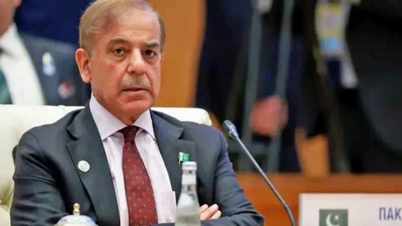 PM Shehbaz Sharif forms 11-member committee to monitor affairs in Khyber Pakhtunkhwa