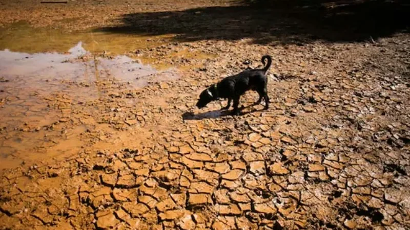 Super El Niño could make 2026 and 2027 hottest years on record - El Niño climate, El Niño emerging, global temperature records, hottest year