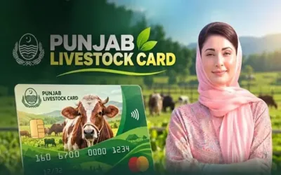 CM Punjab Maryam Nawaz unveils Rs16.2 billion livestock loan package