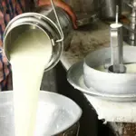 Milk, yogurt prices increase in Rawalpindi