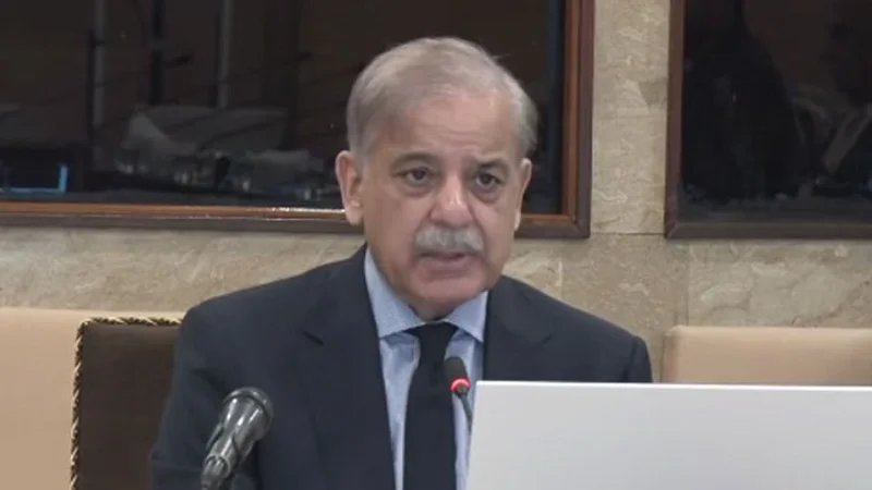 Govt focused on providing relief to electricity consumers: Shehbaz